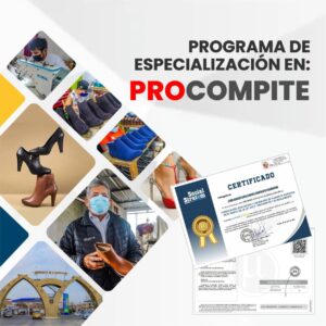 Formulación, evaluacion y liquidación procompite 224 Horas