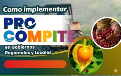 Implementación de procompite en Gobiernos regionales y locales