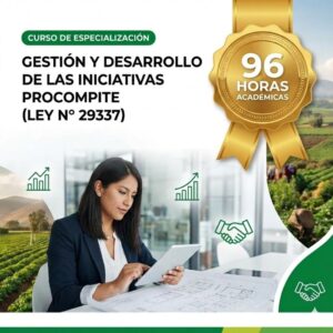 gestion de las inciativas procompite 96 social stratum team