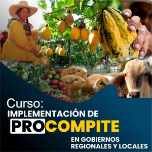 implementacion de procompite en gobiernos regionales y locales social stratum team