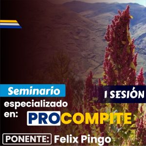 seminario procompite felix pingo