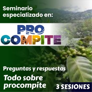 seminario especializado en procompite social stratum team