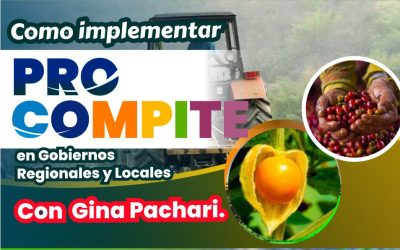 Implementación de procompite en Gobiernos regionales y locales