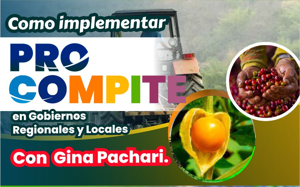 Implementación de procompite en Gobiernos regionales y locales