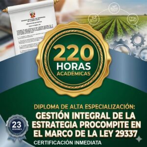 Diploma de Alta Especialización Gestion Integral de la Estrategia PROCOMPITE certificacion 220 horas academicas 23 sesiones gestion publica Social Stratum Team