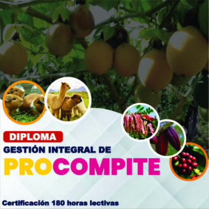 diploma gestion integral de procompite social stratum team certificacion 180 horas lectivas1