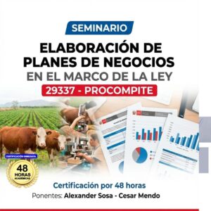 seminario-formulacion-y-evaluacion-de-planes-de-negocios-en-el-marco-del-procompite.