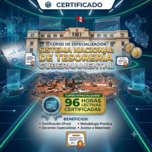 SISTEMA NACIONAL DE TESORERIA GUBERNAMENTAL | Curso 96h