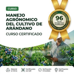 MANEJO AGRÓNOMICO DEL CULTIVO DE ARÁNDANO 96 horas