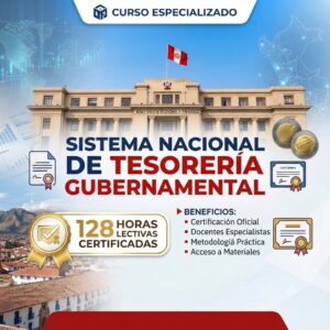 SISTEMA NACIONAL DE TESORERIA GUBERNAMENTAL 128 horas