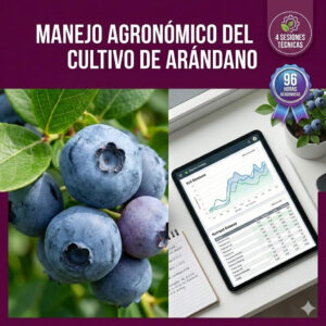 Certificación técnica en Manejo Agronómico del Cultivo de Arándano 96 horas - Ponente Ing. Luis Viloche Tello - Social Stratum Team.