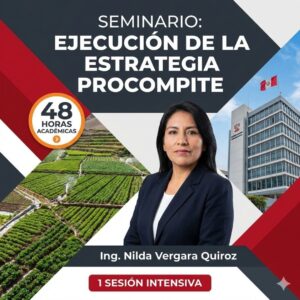 Ejecución de PROCOMPITE en Gobiernos Regionales y Locales - Ponente Ing. Nilda Vergara Quiroz social stratum team
