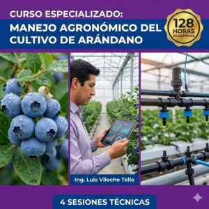 Especialización técnica avanzada en Manejo Agronómico del Cultivo de Arándano 128 horas - Social Stratum Team.
