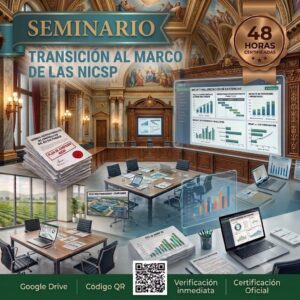 TRANSICIÓN AL MARCO DE LAS NICSP Seminario48h
