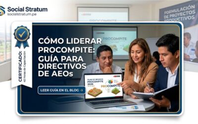 Como formular un plan de negocios: Guia para AEOs