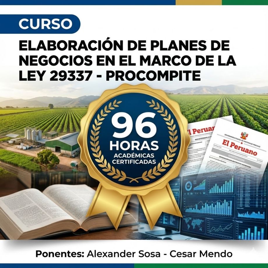 elaboracion de planes de negocios procompite 96 horas social stratum team