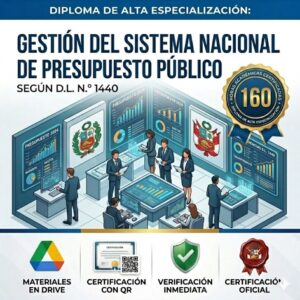 sistema nacional de presupuesto publico 160 hora social stratum team