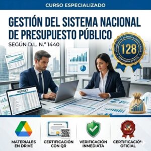sistema nacional de presupuesto publico